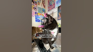 I 3D Printed an Auto Feeder Riser for Better Posture