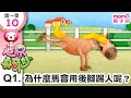 世界真奇妙S1 10 Q1 為什麼馬會用後腳踢人呢 為什麼 為甚麼 WHY 孩子的疑問 Q A 學習新知長知識 教育問答 第一季 第10集 題目01 親子台 官方HD短版 Momokids 世界真奇妙S1 10 Q1 為什麼馬會用後腳踢人呢 為什麼 為甚麼 WHY 孩子的疑問 Q A 學習新知長知識 教育問答 第一季 第10集 題目01 親子台 官方HD短版 Momokids