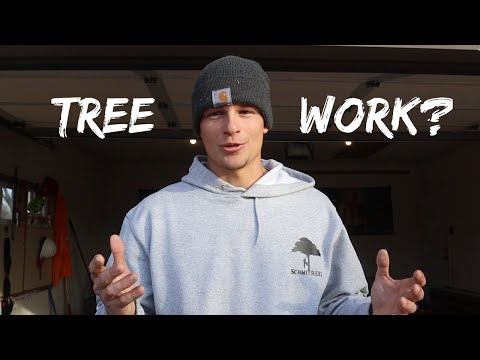 Starting a Tree