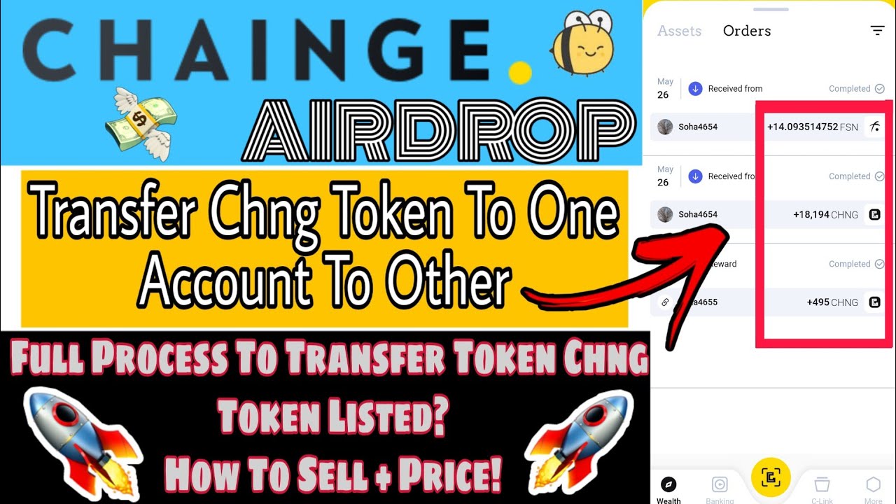 chng tokens price)