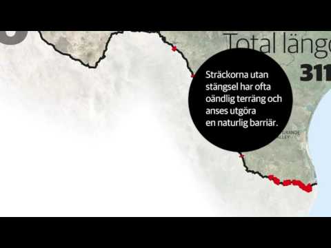 Video: Hur Länge är Mexikos Mur