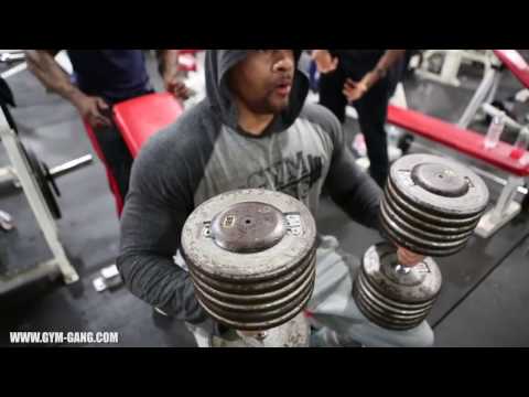 GYM GANG INTENSE CHEST & ARM WORKOUT WITH THE GANG