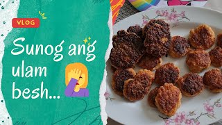Making lunch with the kids | Meat patties | Pinay in Croatia | Vlog 60