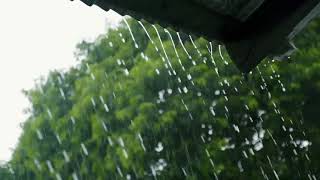 Lucite Tokki- Rainy day. (Lyrics)