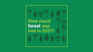 What Happened to the World’s Forests in 2021?