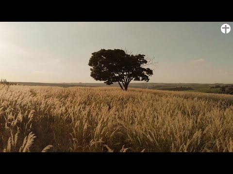 Storytelling mit Jesus – Trailer