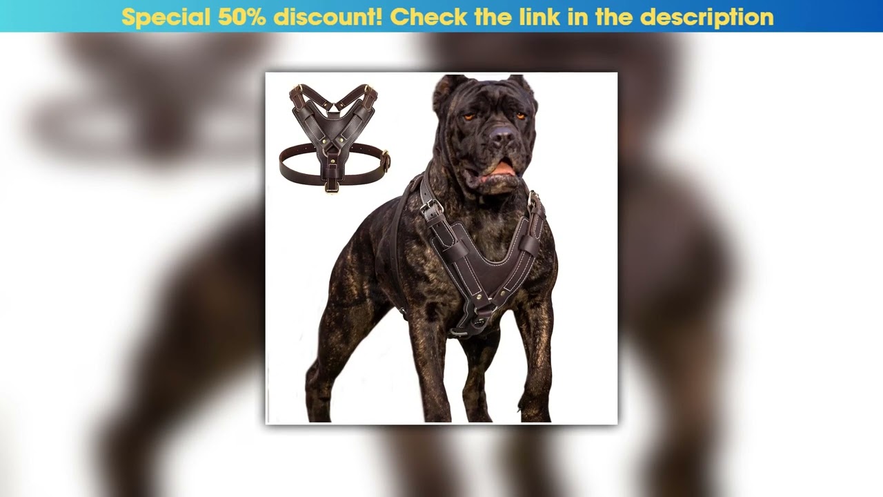 Best Durable Large Dog Harness Genuine Leather Dog Vest Harnesses Adjustable Quick Control With Han