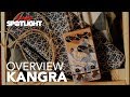 Walrus Audio Kangra Filter Fuzz | Everything You Need To Know