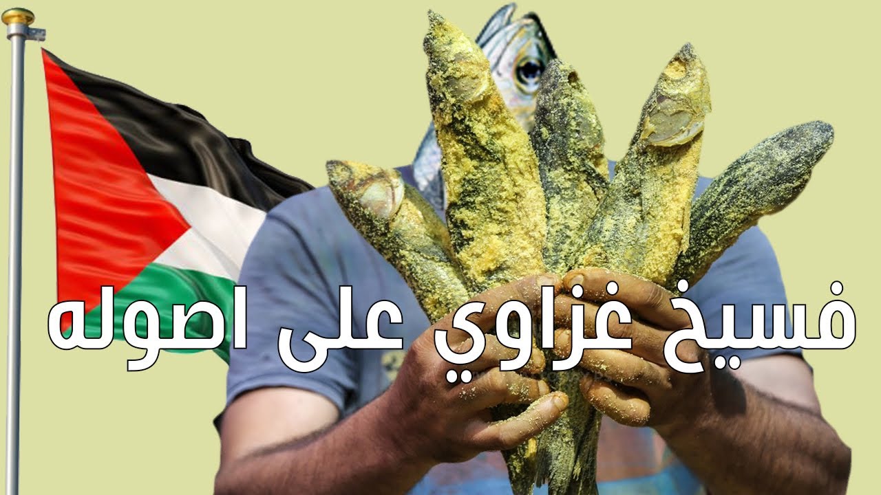 فسيخ غزاوي ( فلسطيني ) على اصوله | مالك قريقع