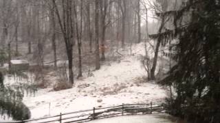 Glen mills snow.