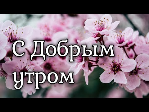 С добрым утром! пожелание хорошего дня открытка музыкальная!