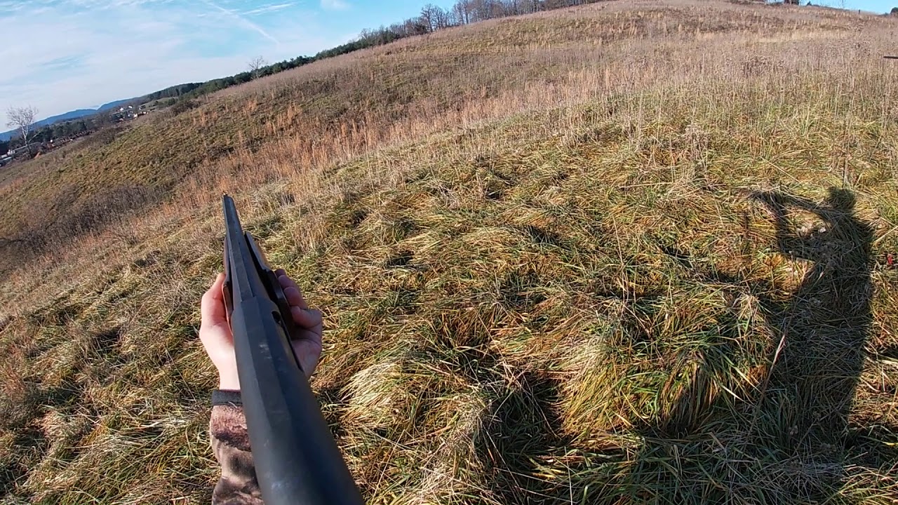Rabbit Hunting With Dogs (got 8) YouTube