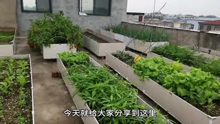 用地板砖做菜池的详细步骤来了半个小时安装完成