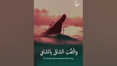 (لَا أُقْسِمُ بِيَوْمِ الْقِيَامَةِ ) تلاوه تزلزل القلوب لشيخ احمد العجمي سوره القيامه ♥️🌟💝