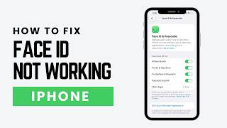 How To Fix Face ID Not Working On iPhone (Complete Guide)