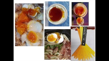 Nitrogen, Microbes, Roots: Breeding Corn for NItrogen Efficiency and Fixation