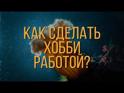 Хобби - лучшая работа. Видимое невидимое, Илья Долгов.
