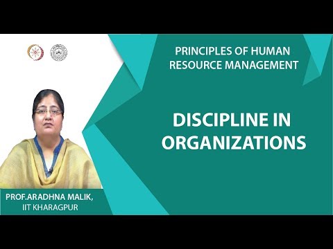 Discipline in Organizations