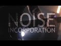 Noise incorporation  the place official music