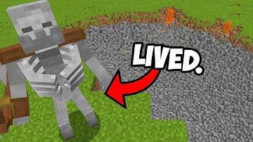 a mod where you test which mobs can survive a nuke