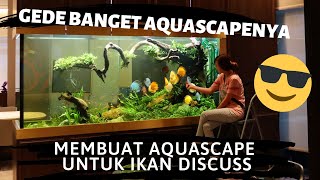 Membuat Aquascape Untuk Ikan Discuss, Gede Banget Aquascapenya Buatnya Aja Dari Dalem