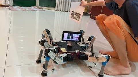 Spider Robot Object Detection