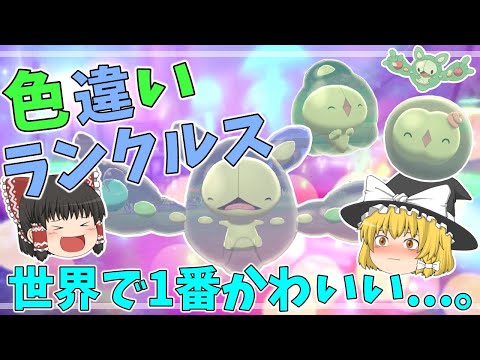 [Epic Episode] A shiny Reuniclus is finally born! It's the cutest in the world... [Pokémon Sword ...