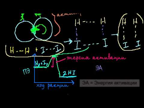 Введение в кинетику