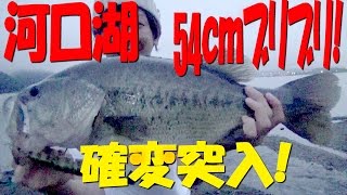 バス釣り モンスターブラックバスを見てみないか 河口湖2回連続の大物 Youtube バス釣り モンスターブラックバスを見てみないか 河口湖2回連続の大物 Youtube