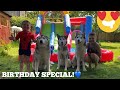 BIRTHDAY SPECIAL WATERSLIDE FOR OUR HUSKIES & KIDS! [CUTEST VIDEO