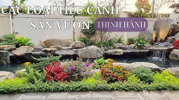 Tìm Hiểu Các Loại Tiểu Cảnh Sân Vườn Đẹp Sẽ HOT Nhất Trong 5 Năm Tới