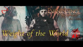 Evanescence - Weight of the World guitar