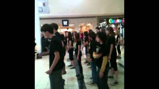 thriller flash mob ithaca mall