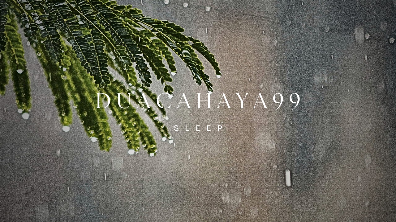 Peaceful Rainstorm with Gentle Thunder BLACK SCREEN | Sleep Relaxation Dark Screen Audio