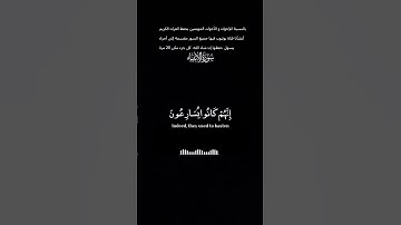 اكتشف نعمة السكينة والهدوء من خلال تلاوة القرآن الكريم #القرآن_الكريم #راحة_نفسية #الرحمن #المصحف