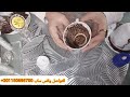 اختار فنجان ولون واعرف اللي قادم لي عام 2026 قراءه باول حرف من اسمك