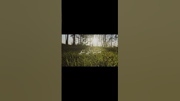سورة الحجرات الآية 9
