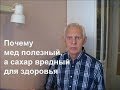 Почему мед полезный, а сахар вредный для здоровья Alexander Zakurdaev