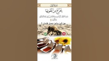 سورة النحل يخرج من بطونها شراب مختلف ألوانه فيه شفاء للناس #اكسبلور #video