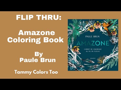 Flip Thru: Amazone Coloring Book By Paule Brun