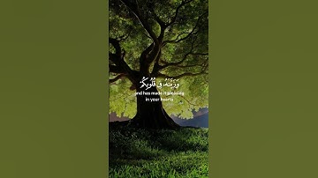 سعد الغامدي - سورة الحجرات - اية ٧ #قرآن #سورة_الحجرات #سعد_الغامدي