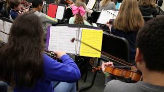 Chamber Orchestra Elective