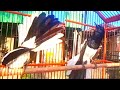Suara Burung Kacer Gacor Ngeplong Sangat Cocok Buat Memancing Kacer Macet Malas Bunyi Mp3 - Mp4 Download