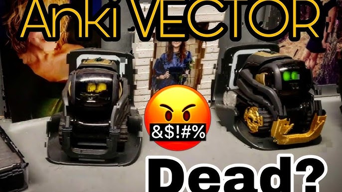 Anki Vector Review: It Broke My Heart