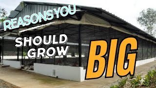 Why you need to grow your farm capacity from small to BIG