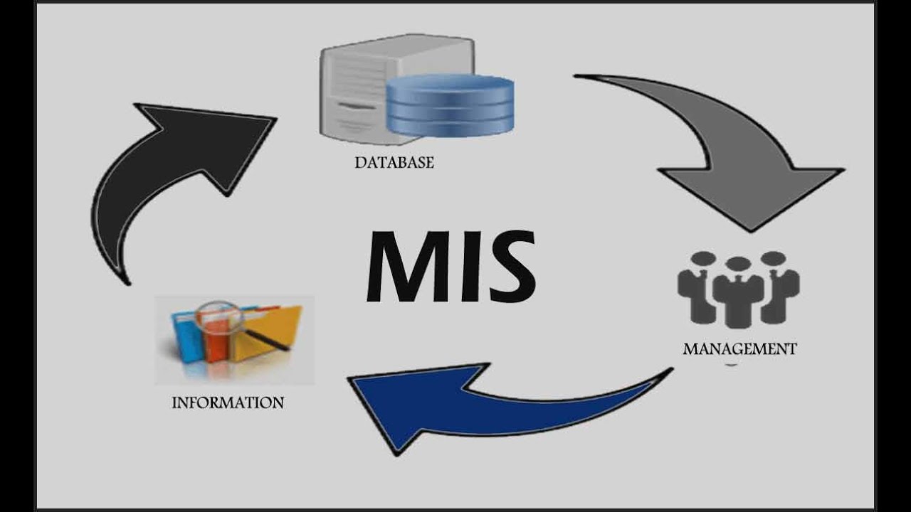 MIS (Management Information System) - YouTube