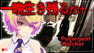 【Poltergeist Watcher】あなたはこの呪われた家で一晩生き延びることができますか？【深層組 / 刺杉あいす】