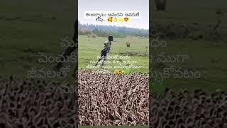 #happiness 🥰👌short video