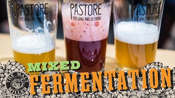 The Malt Miller | Gemengde fermentatie met Pastore Brewing & Blending