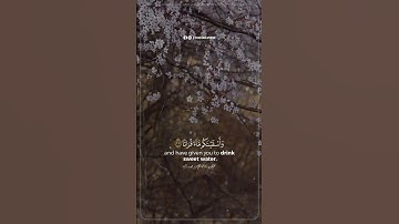 وَأَسْقَيْنَاكُمْ مَاءً فُرَاتًا | القارئ مذكر السويفان